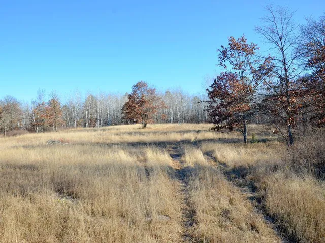 $499,900 | 32 County 32, Park Rapids, MN 56470