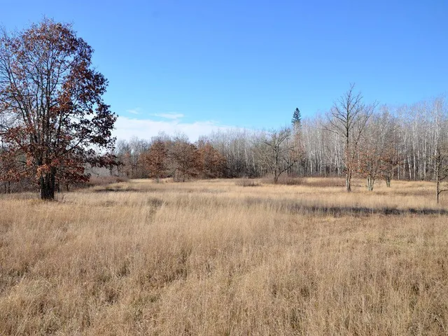 $499,900 | 32 County 32, Park Rapids, MN 56470