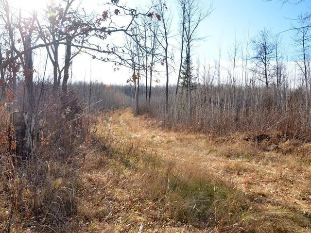 $499,900 | 32 County 32, Park Rapids, MN 56470