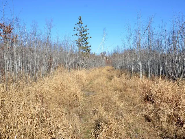 $499,900 | 32 County 32, Park Rapids, MN 56470