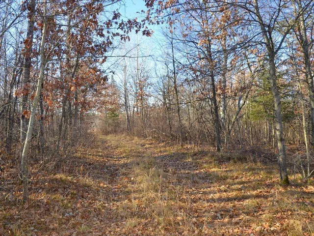 $499,900 | 32 County 32, Park Rapids, MN 56470