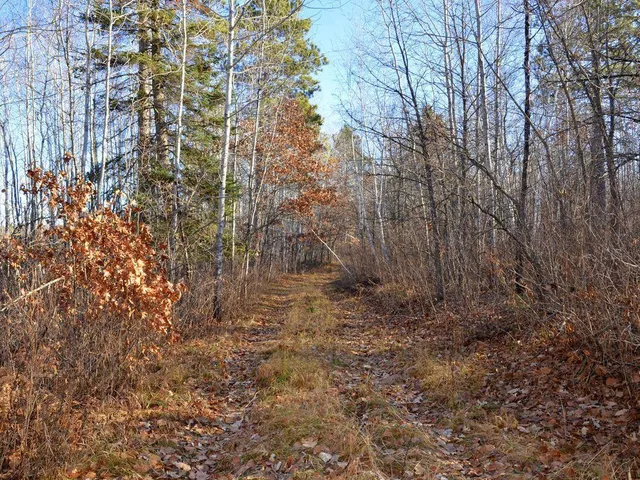 $499,900 | 32 County 32, Park Rapids, MN 56470