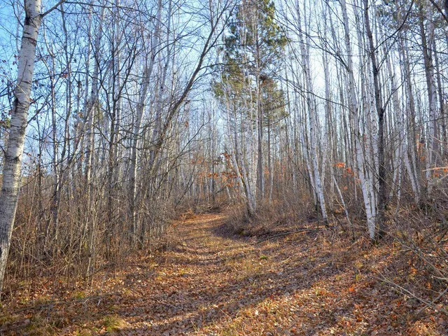 $499,900 | 32 County 32, Park Rapids, MN 56470