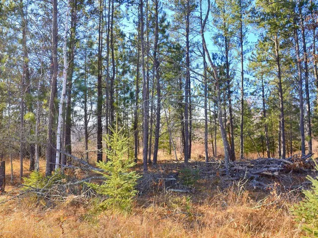 $499,900 | 32 County 32, Park Rapids, MN 56470