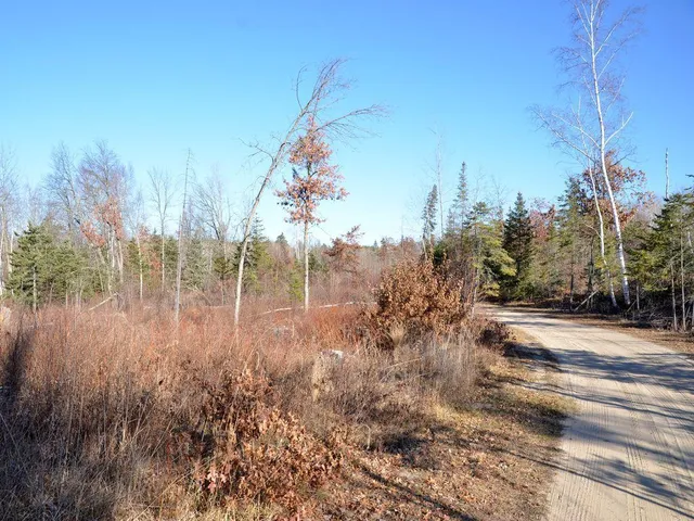 $499,900 | 32 County 32, Park Rapids, MN 56470