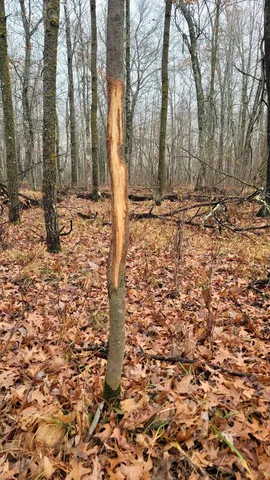 $499,900 | 32 County 32, Park Rapids, MN 56470