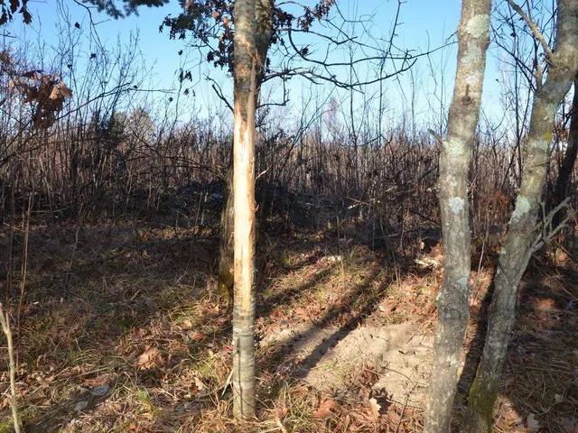 $499,900 | 32 County 32, Park Rapids, MN 56470