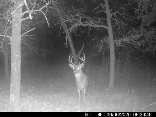 $499,900 | 32 County 32, Park Rapids, MN 56470