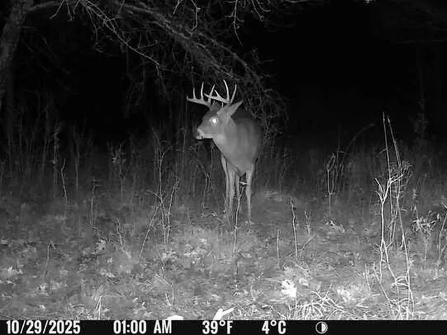 $499,900 | 32 County 32, Park Rapids, MN 56470