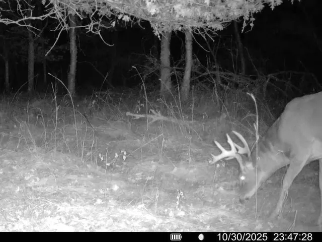 $499,900 | 32 County 32, Park Rapids, MN 56470