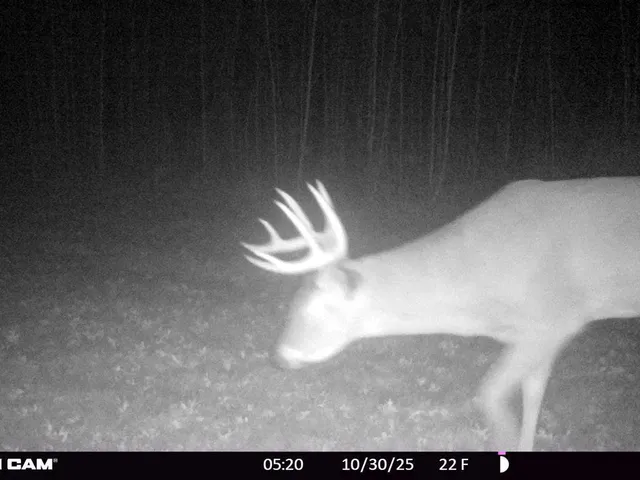 $499,900 | 32 County 32, Park Rapids, MN 56470