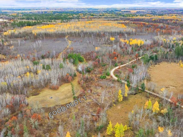 $499,900 | 32 County 32, Park Rapids, MN 56470