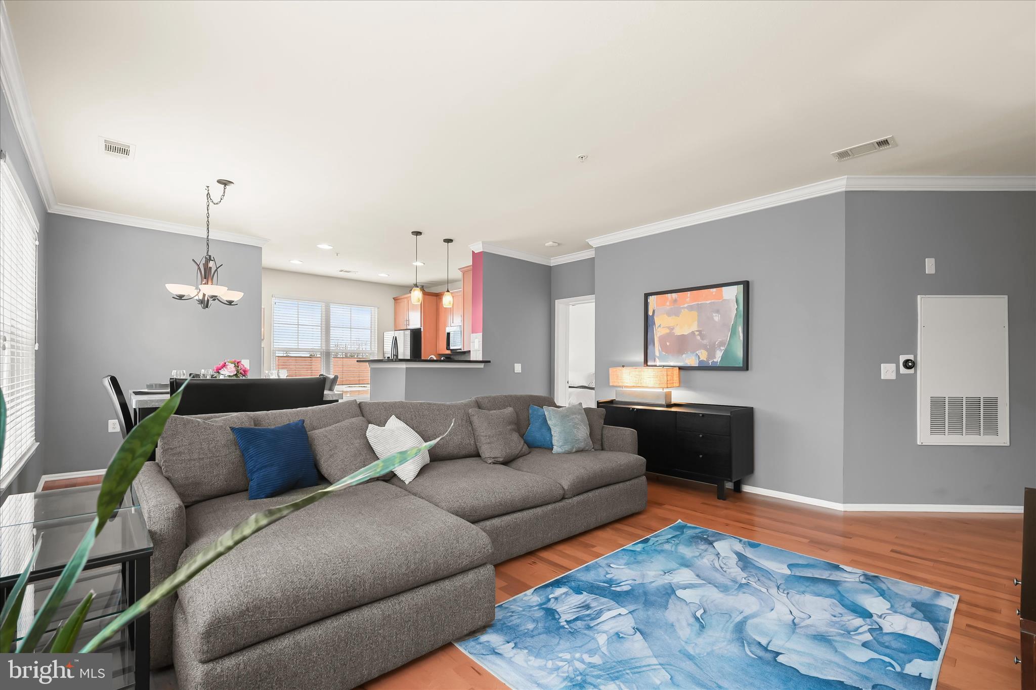11800 Old Georgetown Road, Unit 1541 North Bethesda, MD 20852 - Photo 7 of 48 Old Georgetown Rd010