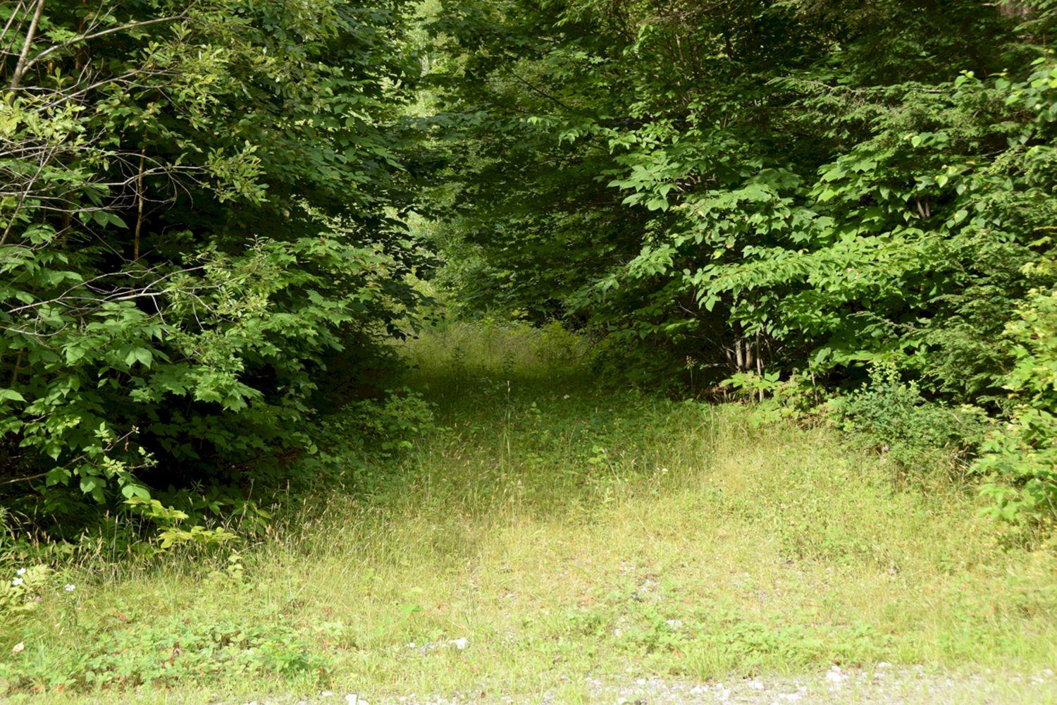 M7-l1-19-5 Pine Bluff Road Embden, ME 04958 - Photo 1 of 10 DSC_0002