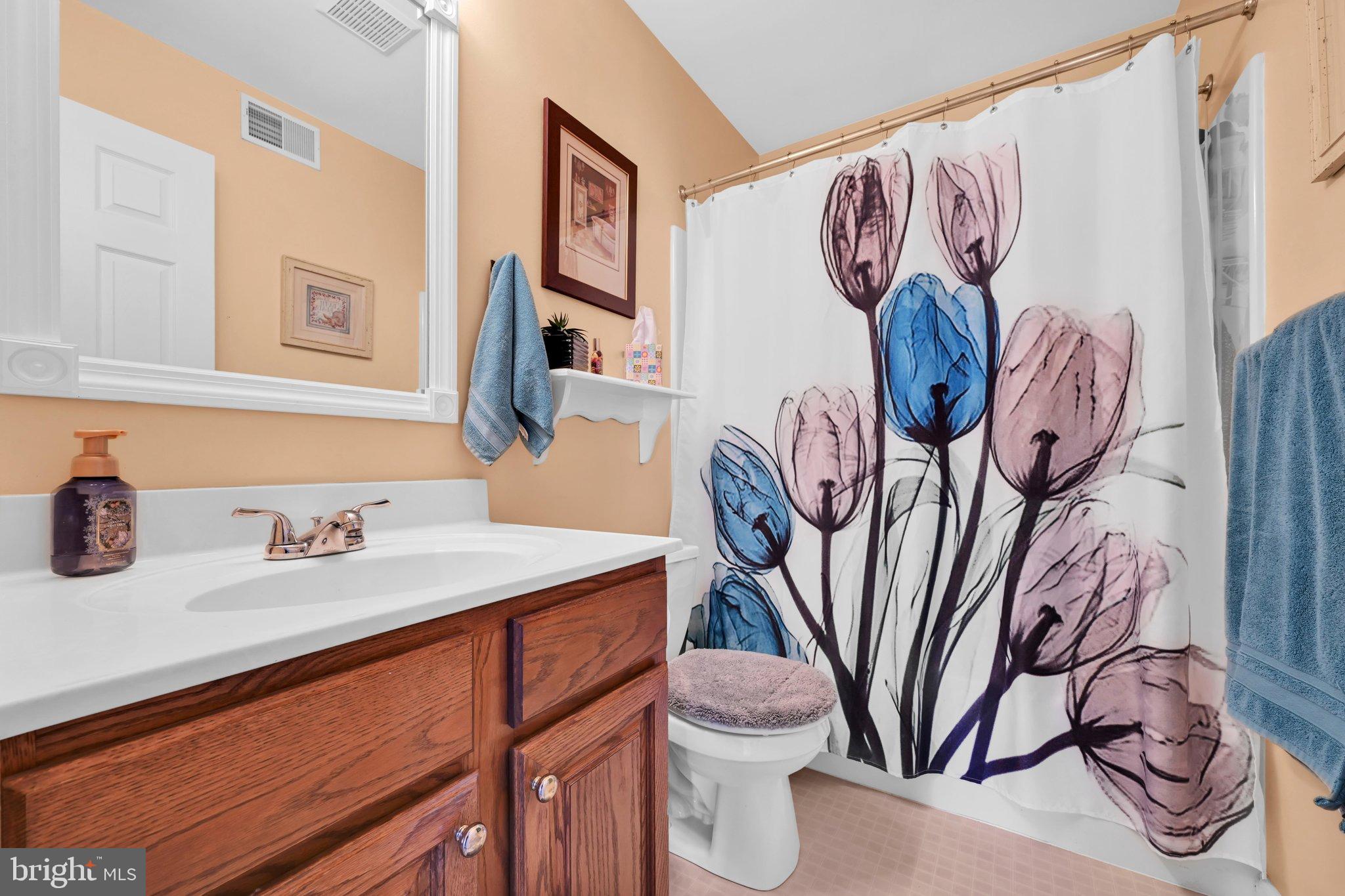 351 Oneida Drive Sinking Spring, PA 19608 - Photo 28 of 36 Bathroom