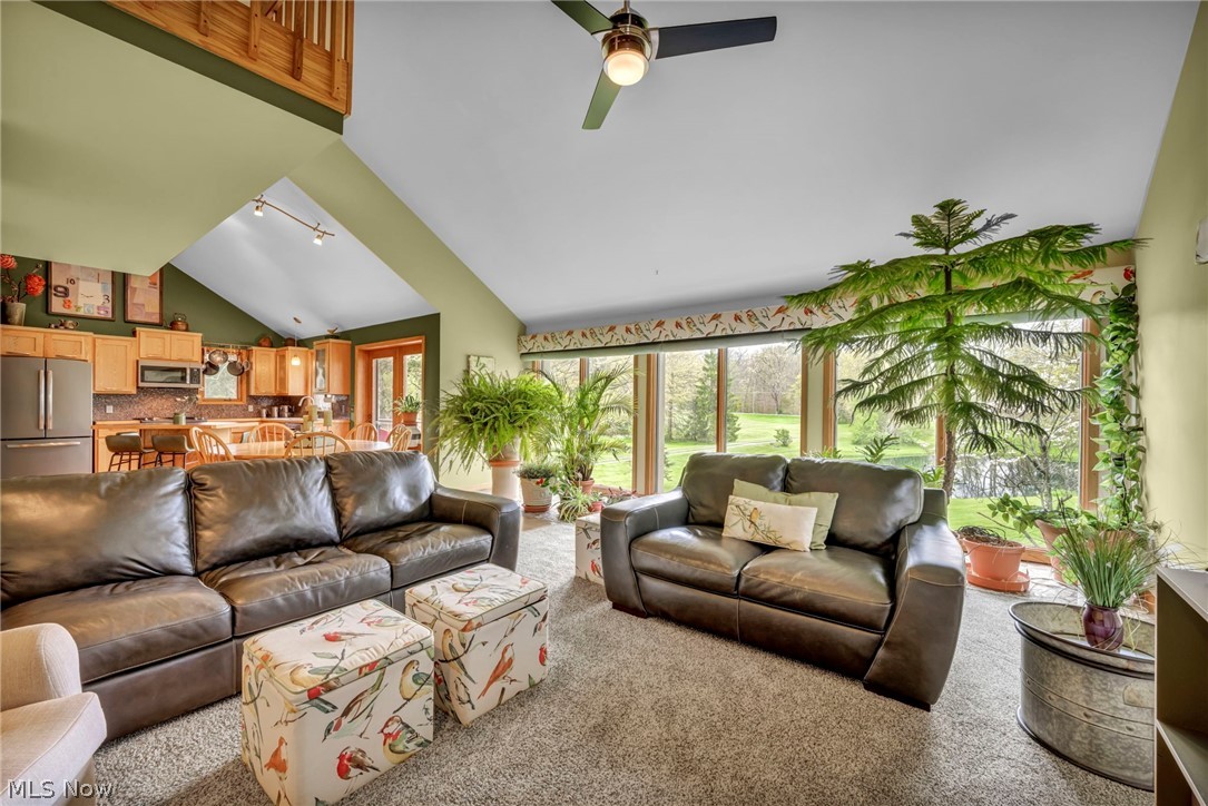 8683 Kennard Road Lodi, OH 44254 - Photo 10 of 42 LIVING ROOM
