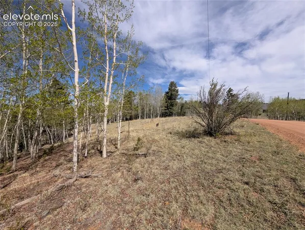 $25,000 | 905 May Queen Drive, Cripple Creek, CO 80813