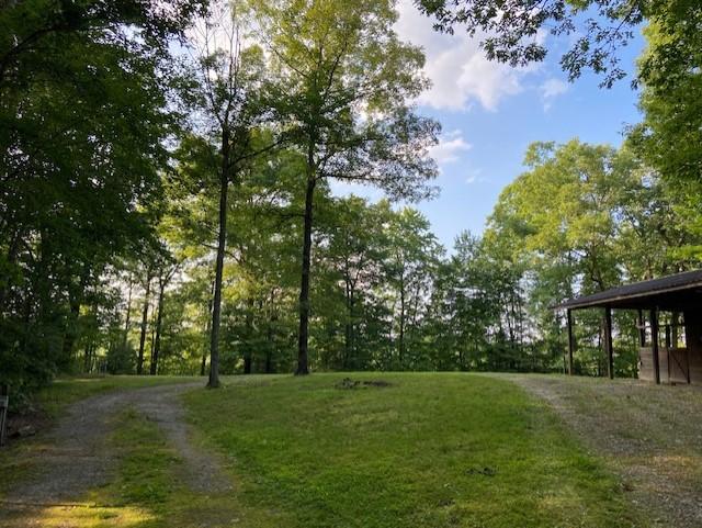 880 John J Smith Road Oneida, TN 37841 - Photo 16 of 25 880 John Smith 2