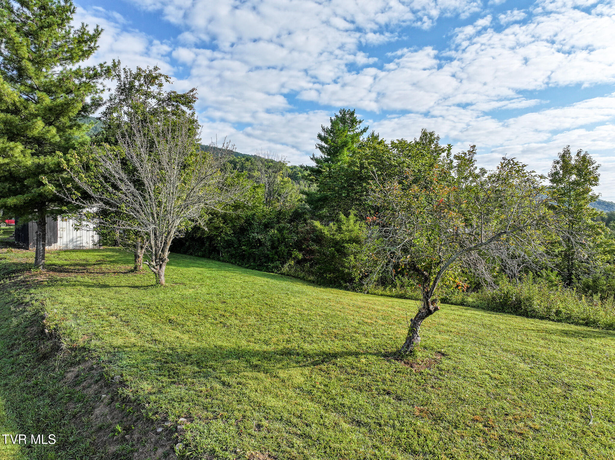 2395 Fodderstack Mountain Loop Greeneville, TN 37745 - Photo 33 of 51 DJI_20250910051818_0902_D