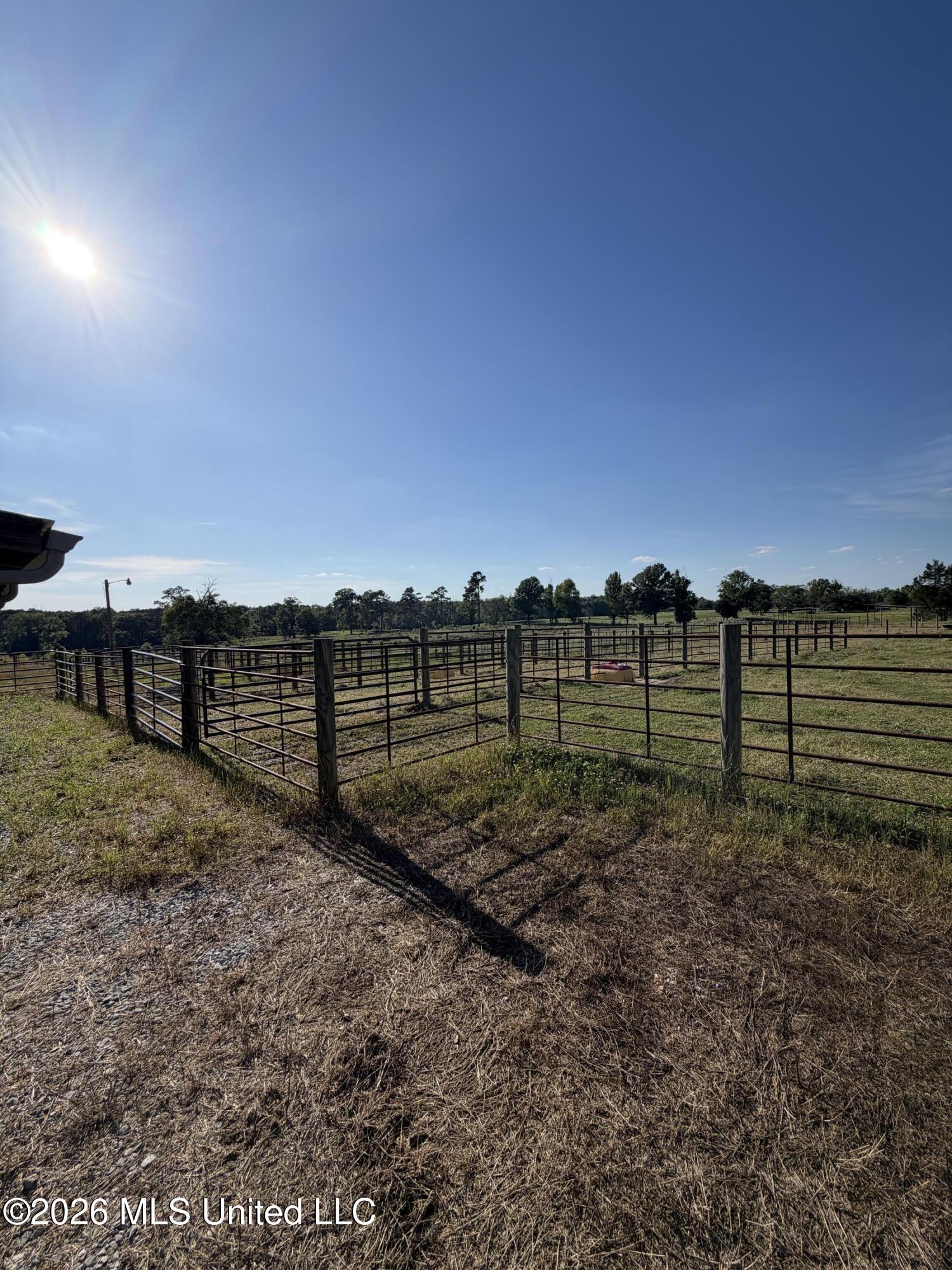 1071 Williams Road Wesson, MS 39191 - Photo 34 of 48 IMG_1160