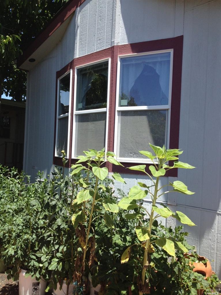 107 Walnut Circle, Unit 107 Rohnert Park, CA 94928 - Photo 1 of 1 Gallery Image 1