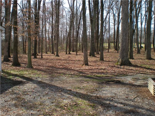 4138 Mt Zion Road Springfield, TN 37172 - Photo 8 of 20