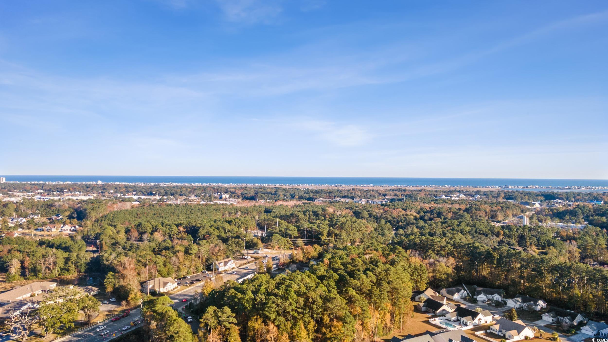 9605 Sullivan Drive Murrells Inlet, SC 29576 - Photo 39 of 40 Birds eye view of property