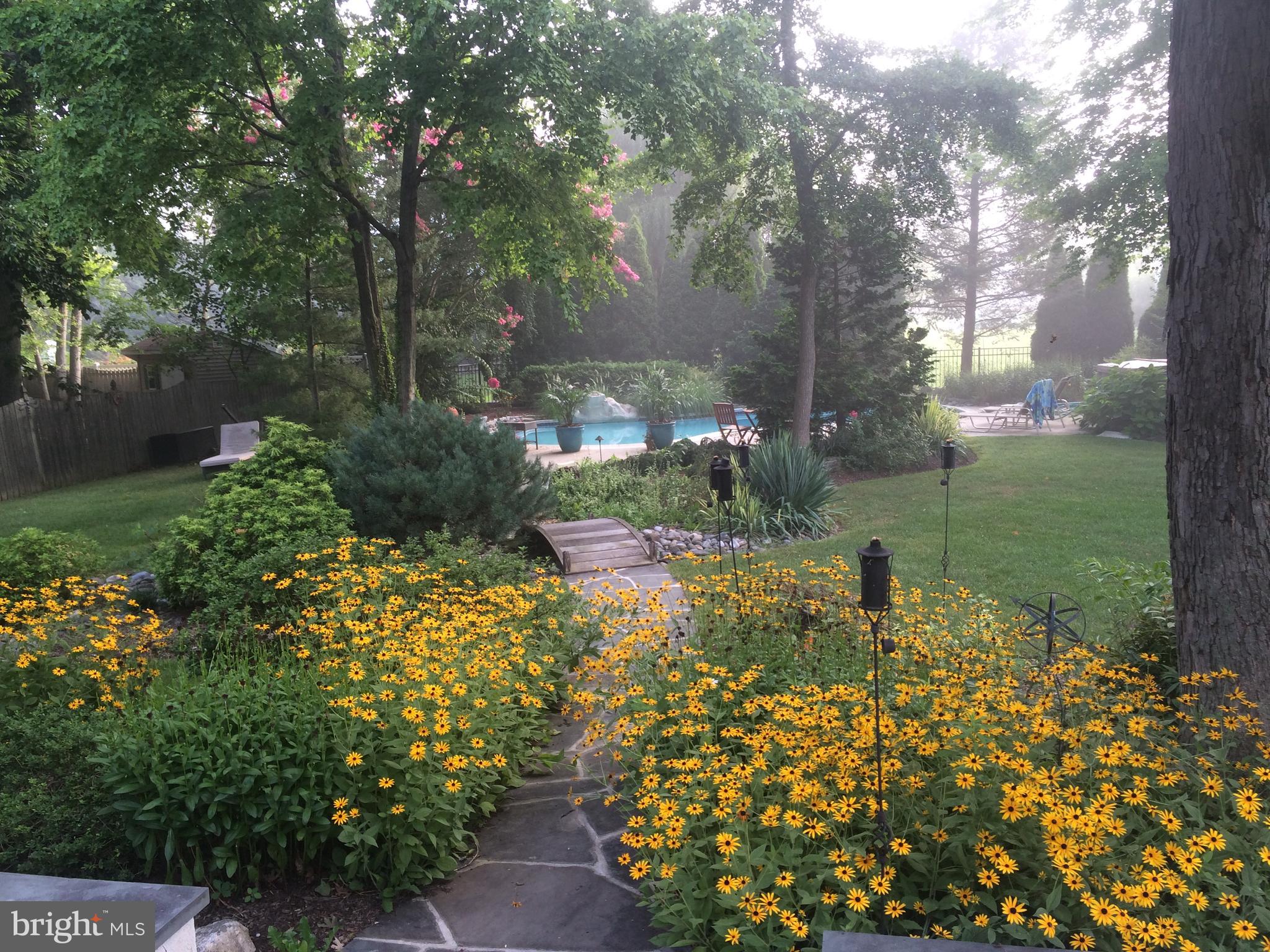 35 Stanwyck Road Mount Laurel, NJ 08054 - Photo 55 of 89 a view of a garden with plants and large trees