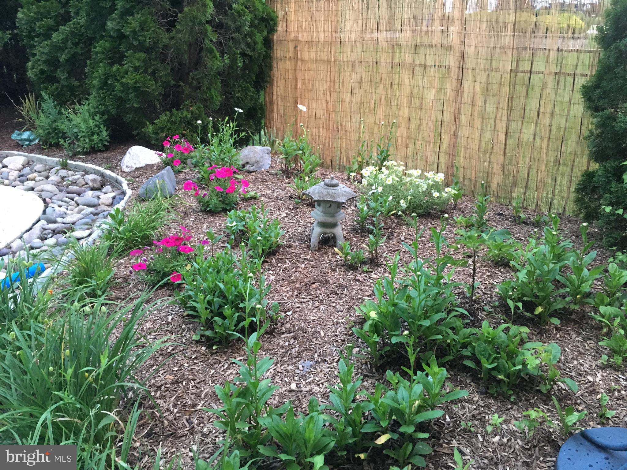 35 Stanwyck Road Mount Laurel, NJ 08054 - Photo 89 of 89