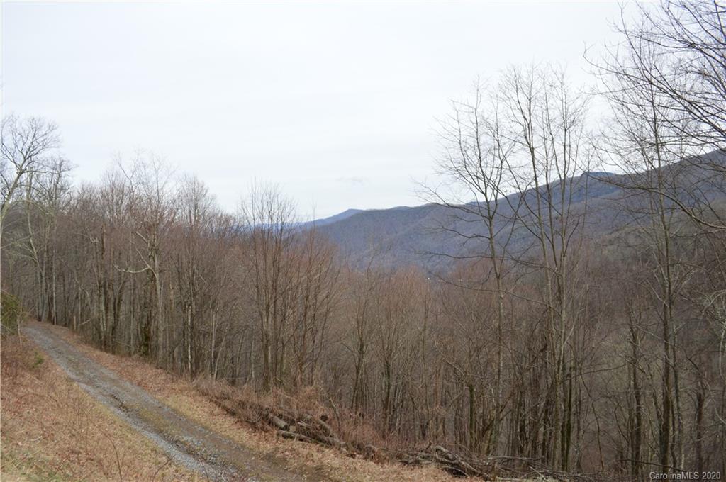 0 Long Branch Road, Unit 46 Maggie Valley, NC 28751 - Photo 8 of 10 Gallery Image 8