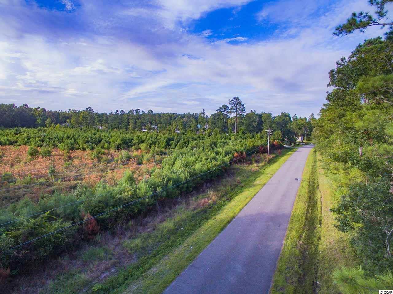 999 Folly Road Myrtle Beach, SC 29588 - Photo 11 of 11 Gallery Image 11