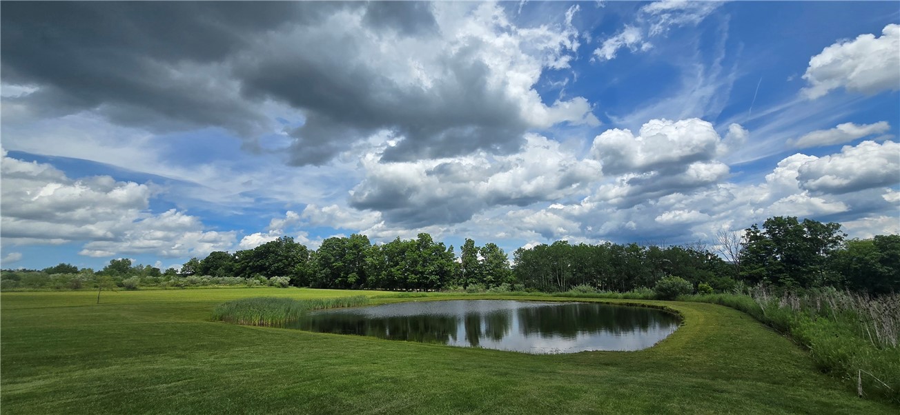 834 Veteran Hill Road Veteran, NY 14845 - Photo 3 of 49