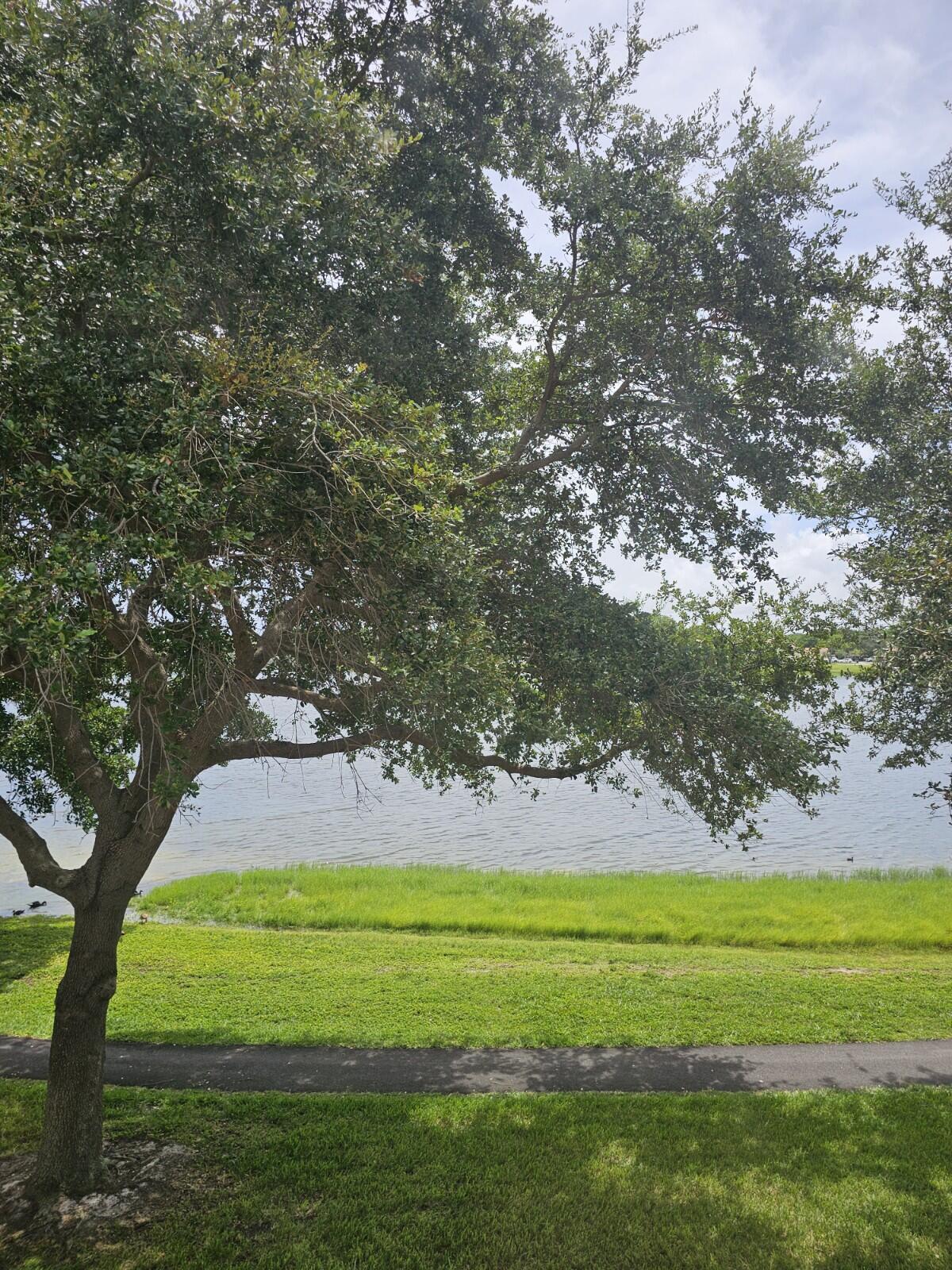 3150 Leewood Terrace, Unit L222 Boca Raton, FL 33431 - Photo 5 of 39 a view of a park with large trees