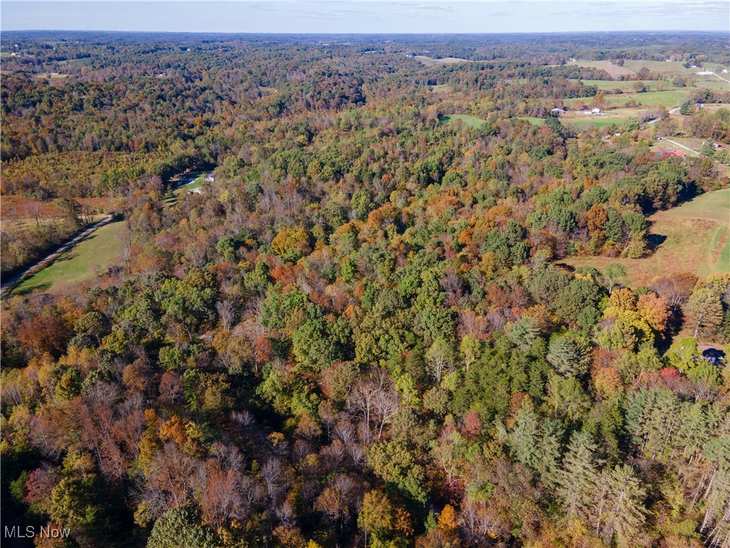 0 Clark Road Cutler, OH 45724 - Photo 24 of 26 Aerial view of property's location with a forest