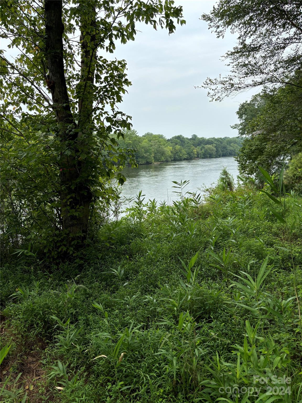 551 Lookout Dam Road Statesville, NC 28625 - Photo 2 of 6 a view of a lake from a yard