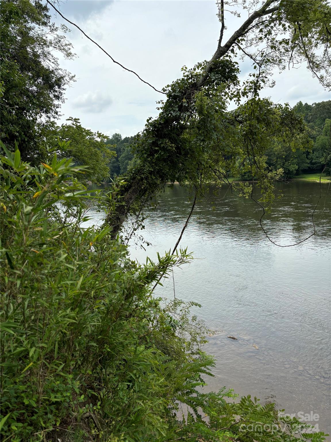 551 Lookout Dam Road Statesville, NC 28625 - Photo 3 of 6 a view of a lake with a mountain