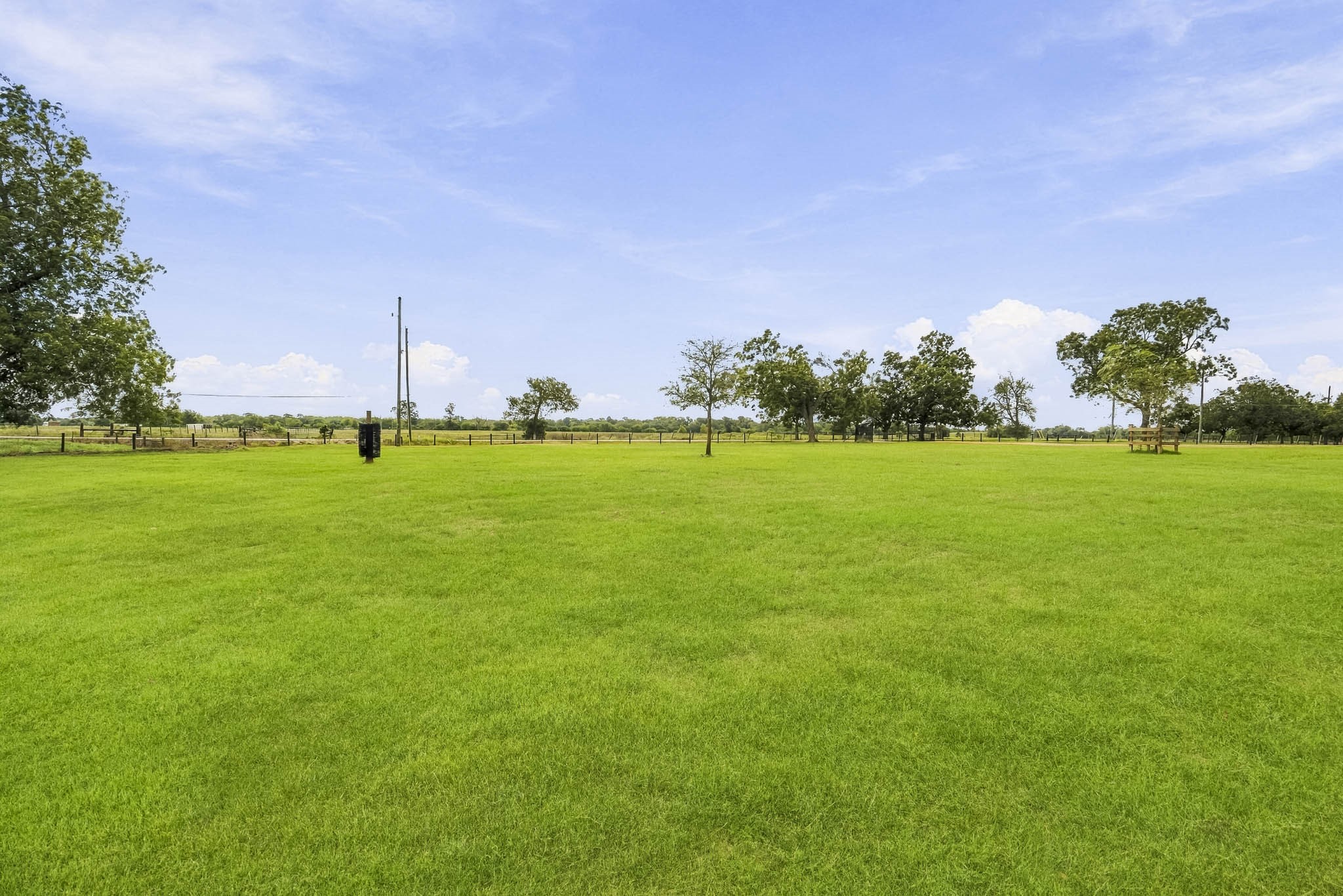 3103 Brundrett Road Wallis, TX 77485 - Photo 42 of 45 The thoughtfully dispersed canopy creates a peaceful setting while enhancing the property's natural beauty, offering the perfect balance of sunshine, shade, and wide-open country charm.
