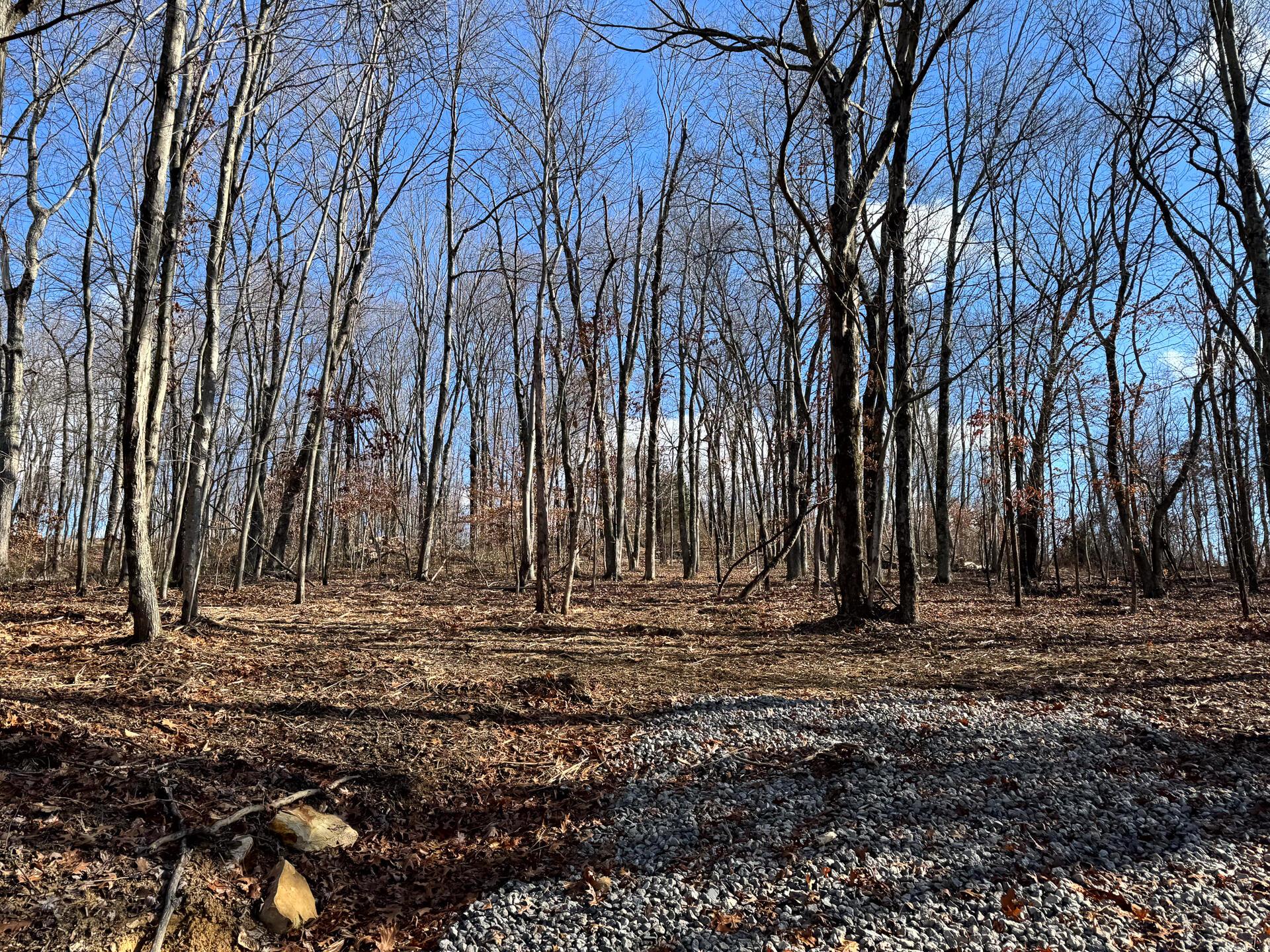 286 Golf Course Road, Unit TRACT 7 SKYLINEACRES) Waverly, OH 45690 - Photo 5 of 46 CT-5
