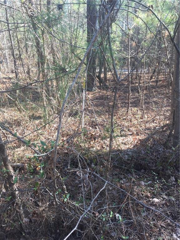 360 Pitts Road Catawba, SC 29704 - Photo 8 of 15
