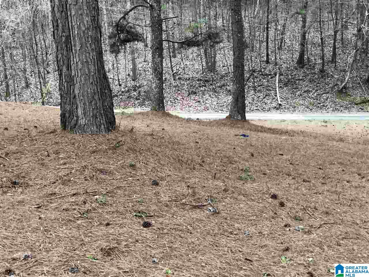 3755 Hillcrest Road Birmingham, AL 35214 - Photo 36 of 44