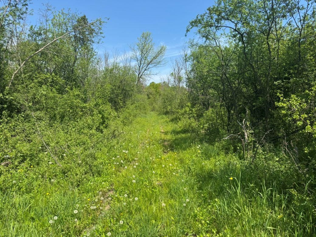 W17810 Eland Road Wittenberg, WI 54499 - Photo 60 of 89