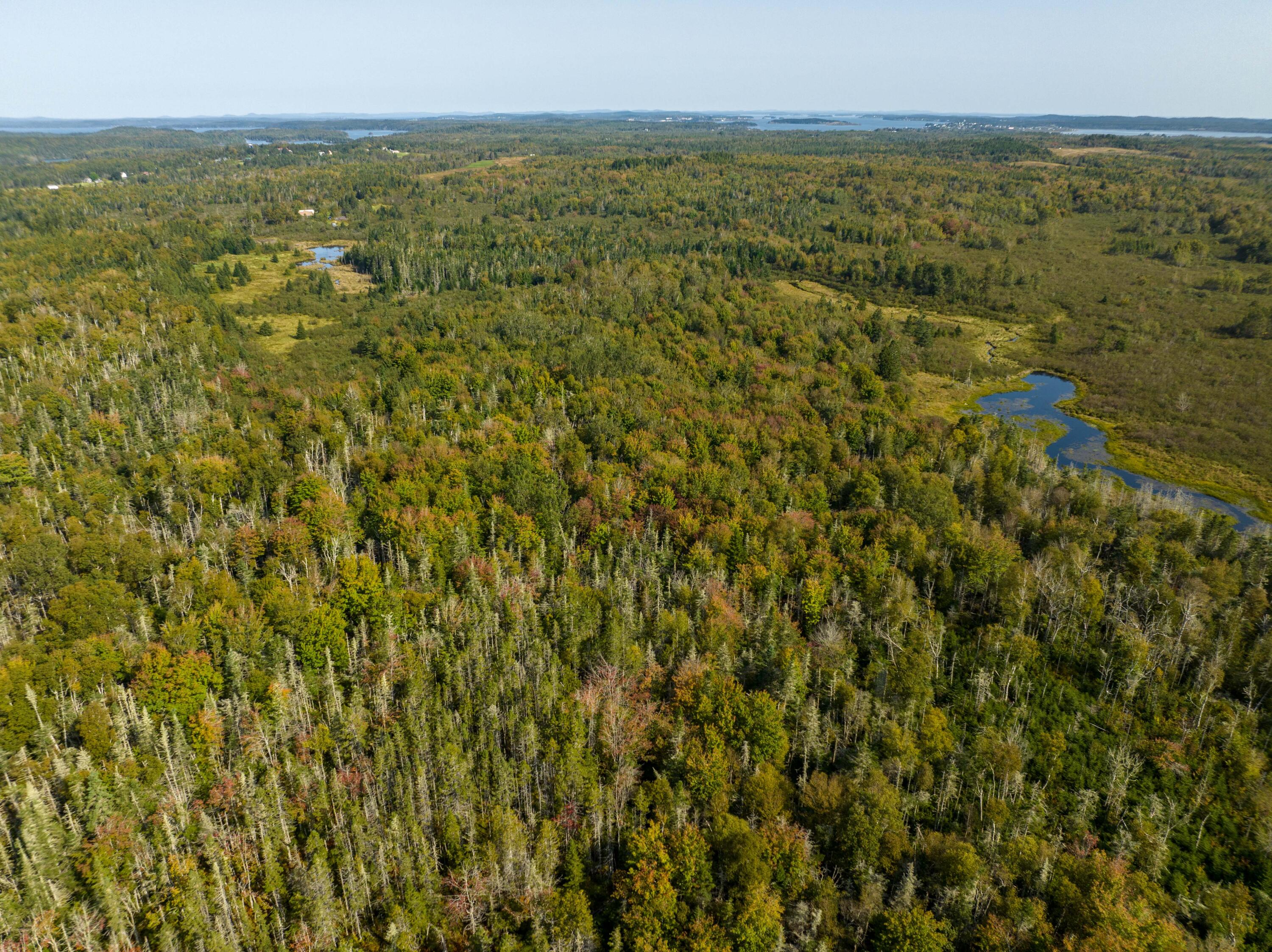 117 Denbow Road Lubec, ME 04652 - Photo 23 of 49 117 Denbow Rd. Lubec (17 of 63)
