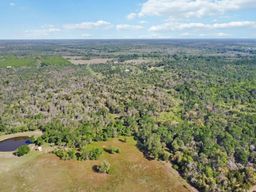 Tbd High Grove Road Cedar Creek, TX 78612 - Photo 11 of 15 Bird's eye view