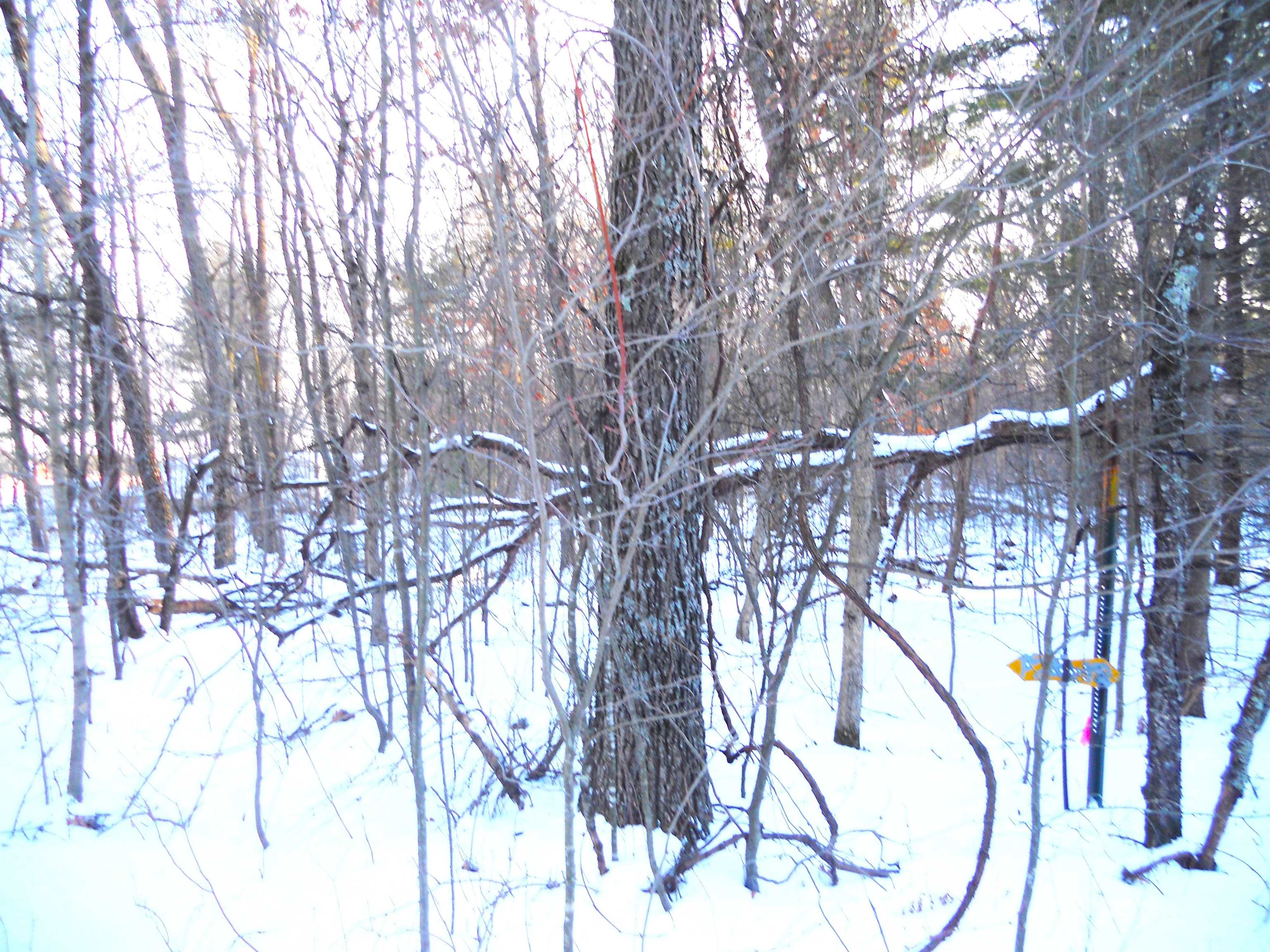 1.34-ac 1.34-ac Czech Friendship, WI 53934 - Photo 5 of 7