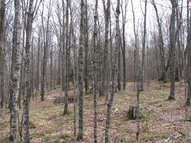 6192 East Big Lake Loop Road Three Lakes, WI 54562 - Photo 14 of 14 Gallery Image 14