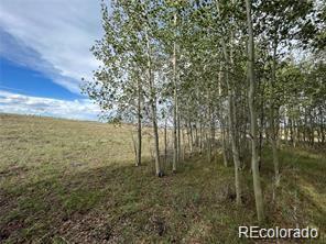 1599 Campfire Road Hartsel, CO 80449 - Photo 20 of 39 Gallery Image 20