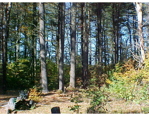 312 Shaw Road Windsor, MA 01270 - Photo 2 of 6