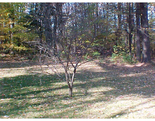 312 Shaw Road Windsor, MA 01270 - Photo 3 of 6