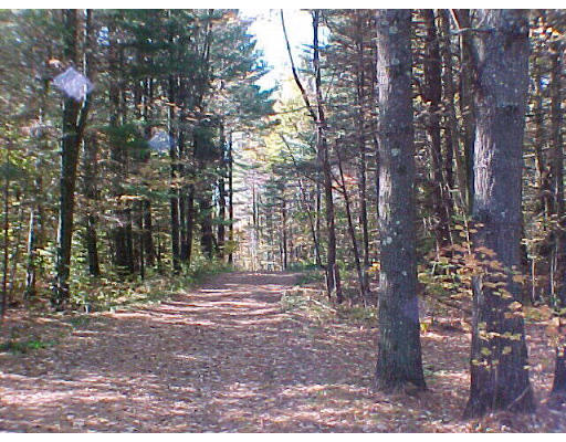 312 Shaw Road Windsor, MA 01270 - Photo 4 of 6