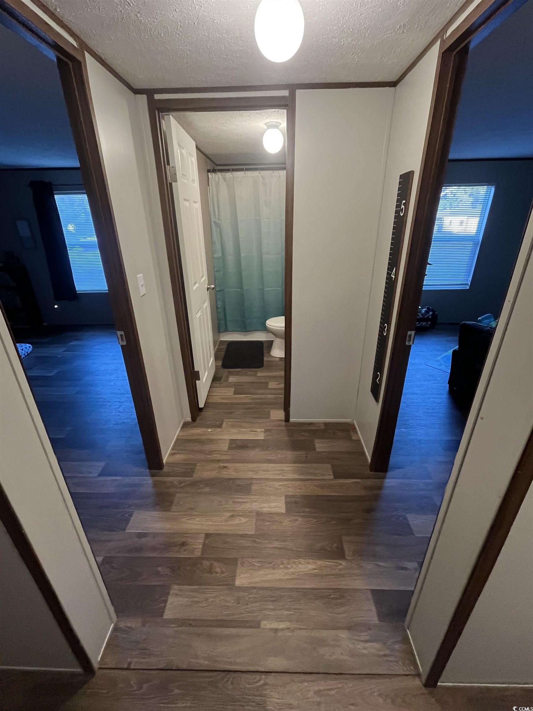 819 Loop Circle Longs, SC 29568 - Photo 17 of 21